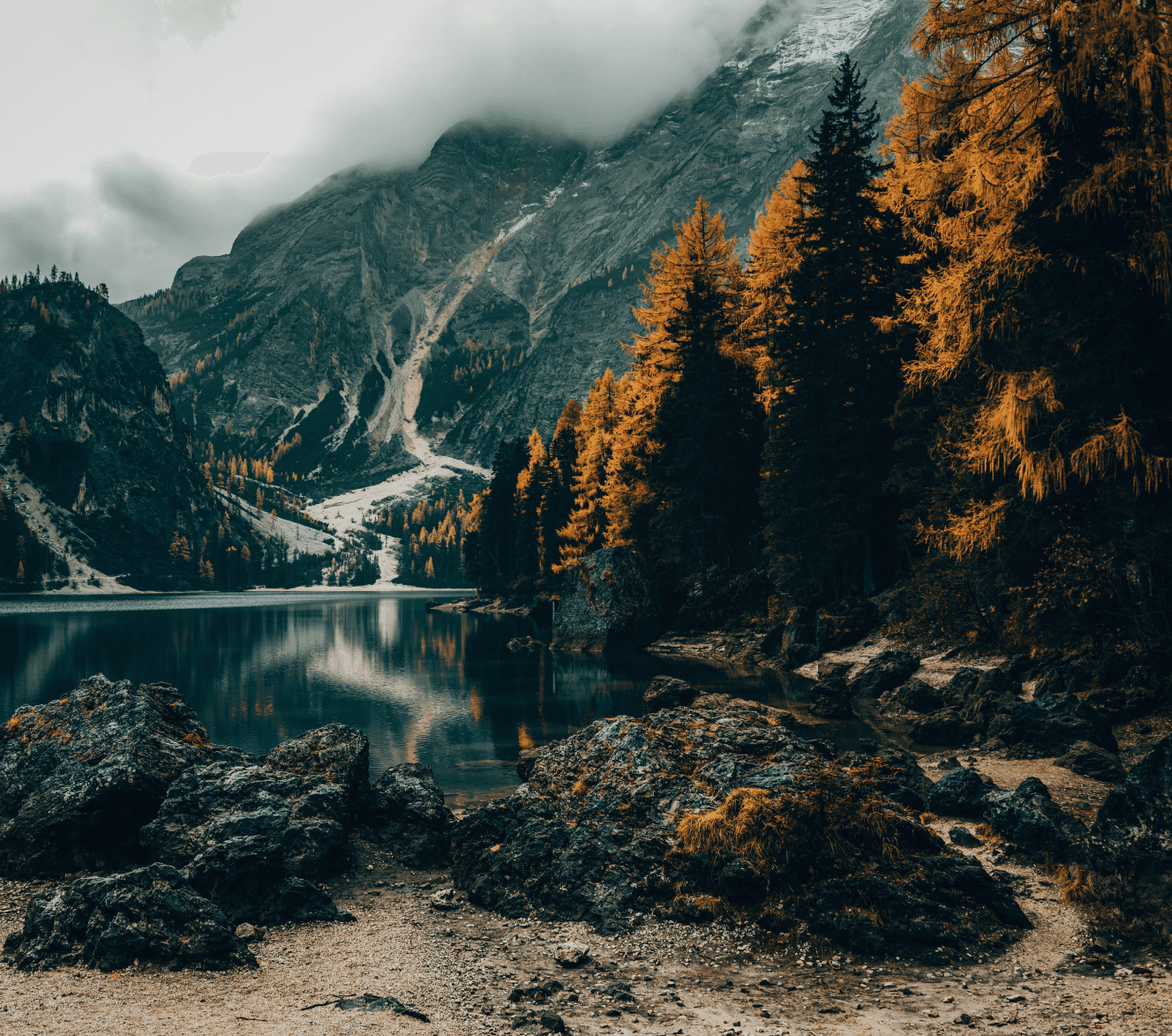 Beautiful mountains and trees