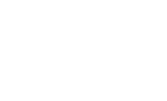Holman Partner
